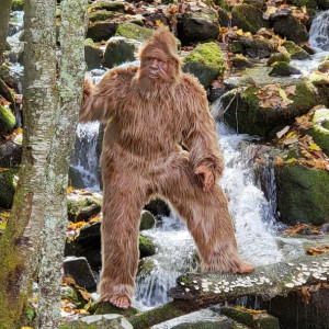 Bigfoot - Costumed Character / Impersonator in Imboden, Arkansas