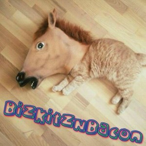 BizkitzNBacon - Club DJ in Fort Worth, Texas