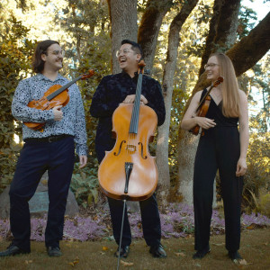 Black Bear Strings - String Quartet / Wedding Musicians in Eugene, Oregon