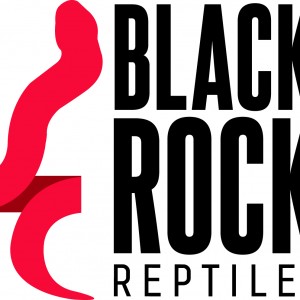 Black Rock Reptiles