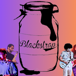 Blackstrap - Party Band / Wedding Musicians in Hot Springs National Park, Arkansas