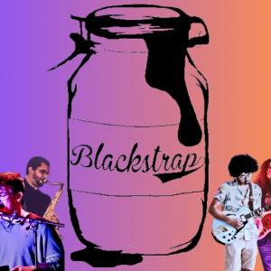 Blackstrap - Party Band / Cover Band in Hot Springs National Park, Arkansas