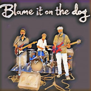 Blame it on the Dog - Cover Band / Reggae Band in Norwalk, Connecticut