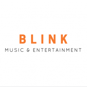 Blink Experience - DJ in Manteno, Illinois
