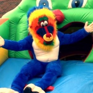 Blue Baboons Funtime Events, Inc.