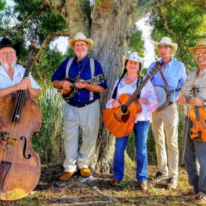 Blue Cypress Bluegrass -Live Traditional Bluegrass & Old-time Country