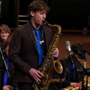 Blue Lu's Serenades - Saxophone Player / Woodwind Musician in Urbana, Illinois