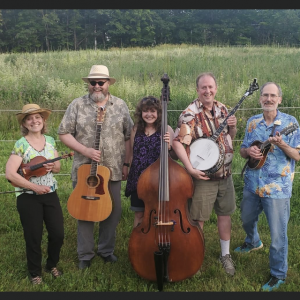 Blue Train Bluegrass Band