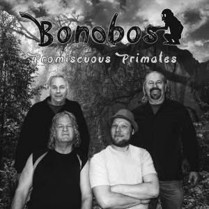 Bonobos - Rock Band in Denver, Colorado