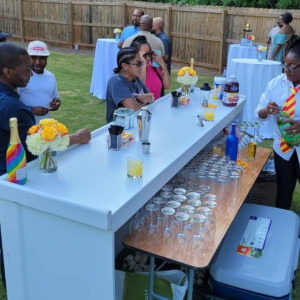 BoomBoomMobileBartender - Bartender in Atlanta, Georgia