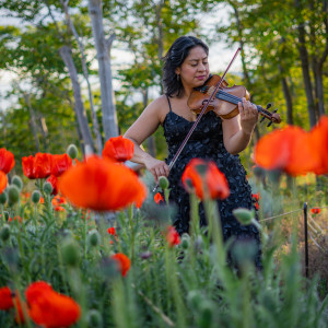 Medina-Ferrone Music Creations - Violinist / Strolling Violinist in Salt Lake City, Utah