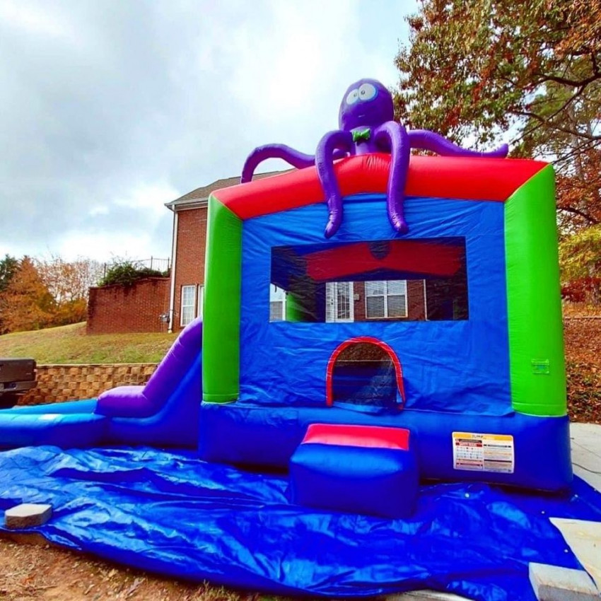 Gallery photo 1 of Bounce House Brookhaven