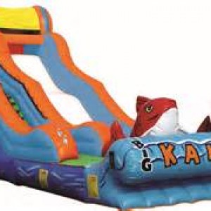 Bouncer World - Party Inflatables in Sumter, South Carolina