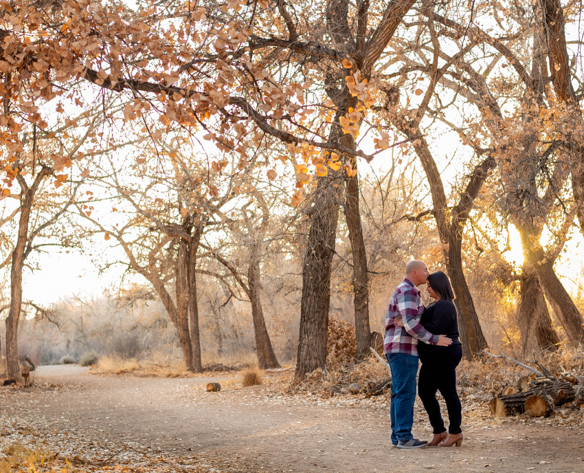 Gallery photo 1 of Brackish Studio NM