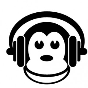 Brain Monkeys Media - DJ in Belleville, Wisconsin