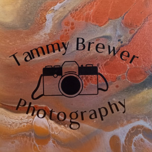 Tammy Brewer Photography - Wedding Videographer in Dandridge, Tennessee