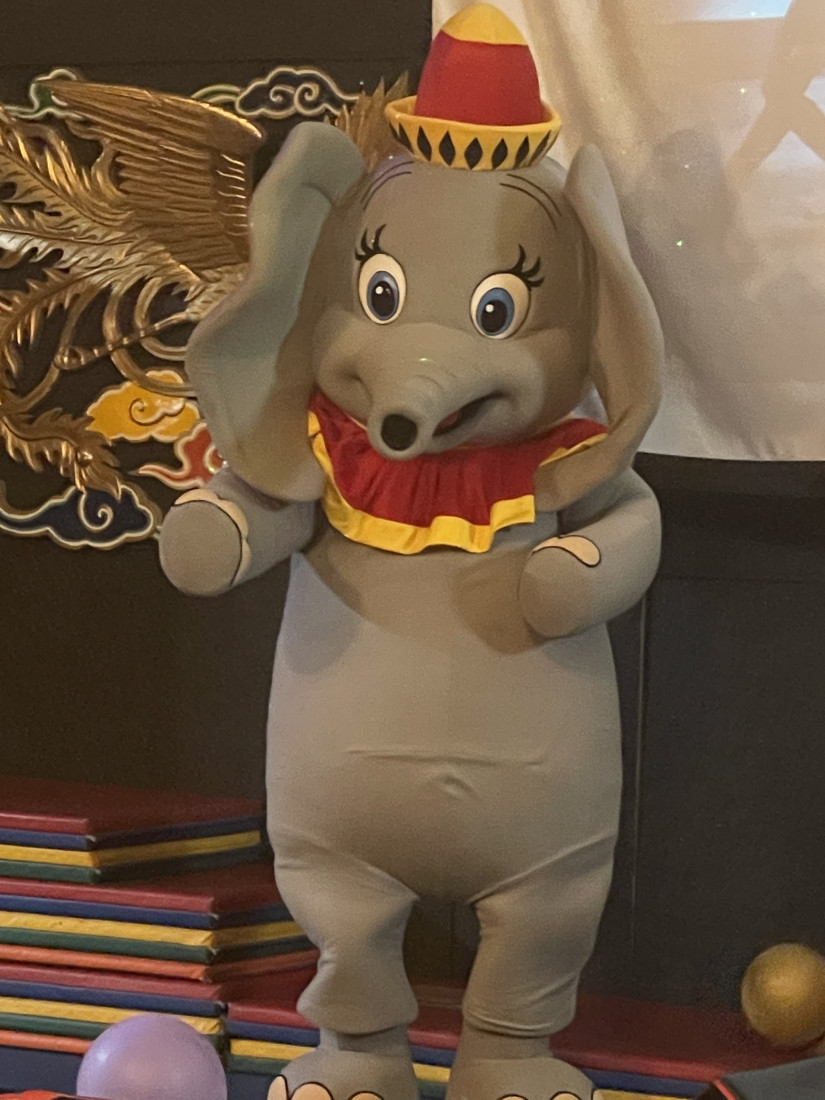 Hire Bucks Imperial Circus/Bucks Sports Barn Circus Entertainment in