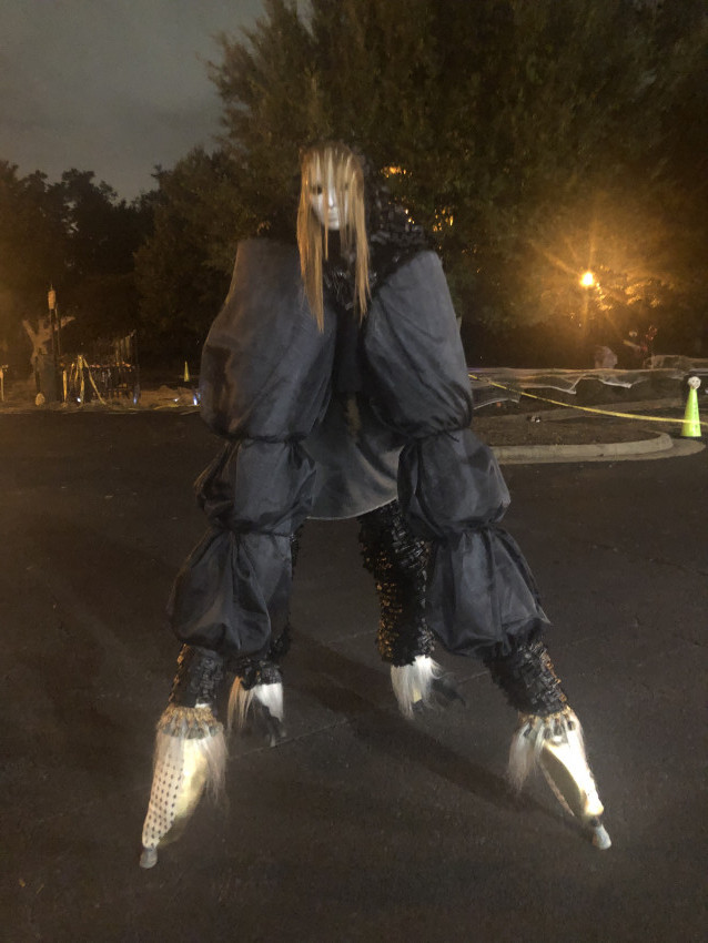 Hire Bucks Imperial Circus/Bucks Sports Barn Circus Entertainment in