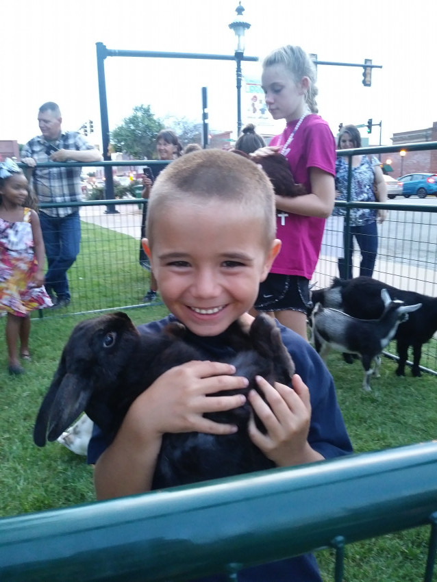 Hire Buffalo Mobile Petting Zoo Petting Zoo in Enid, Oklahoma