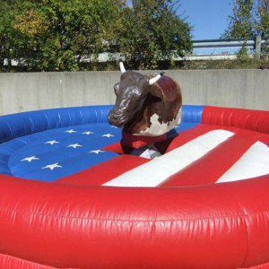 Bull Electro - Mechanical Bull Rental in Atlanta, Georgia