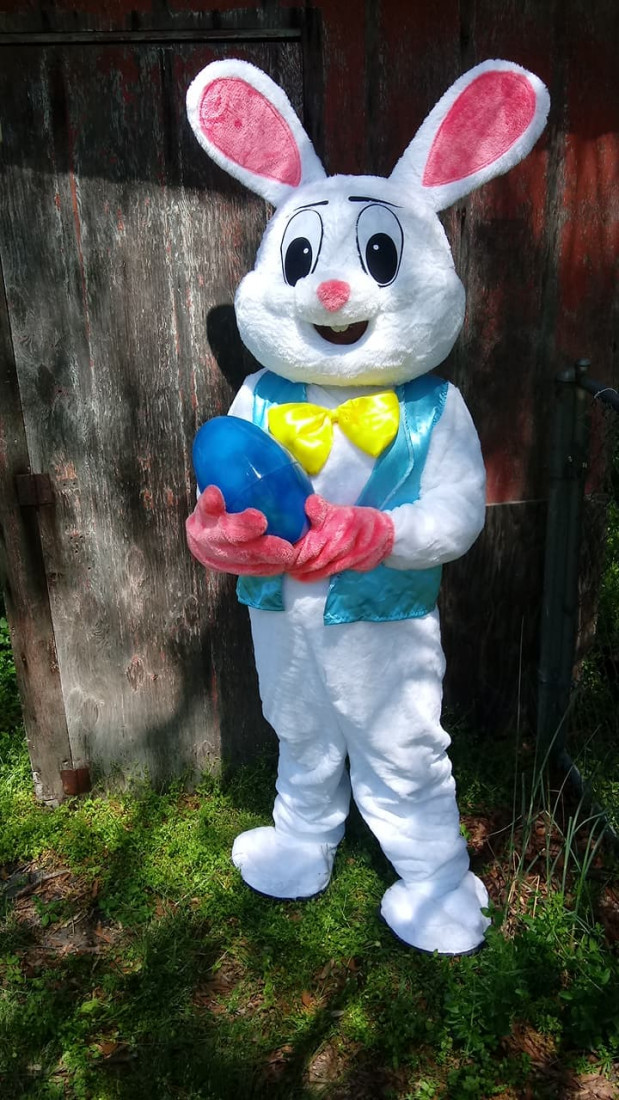 Hire Bunny Genius Inc. - Easter Bunny in Greensboro, North Carolina