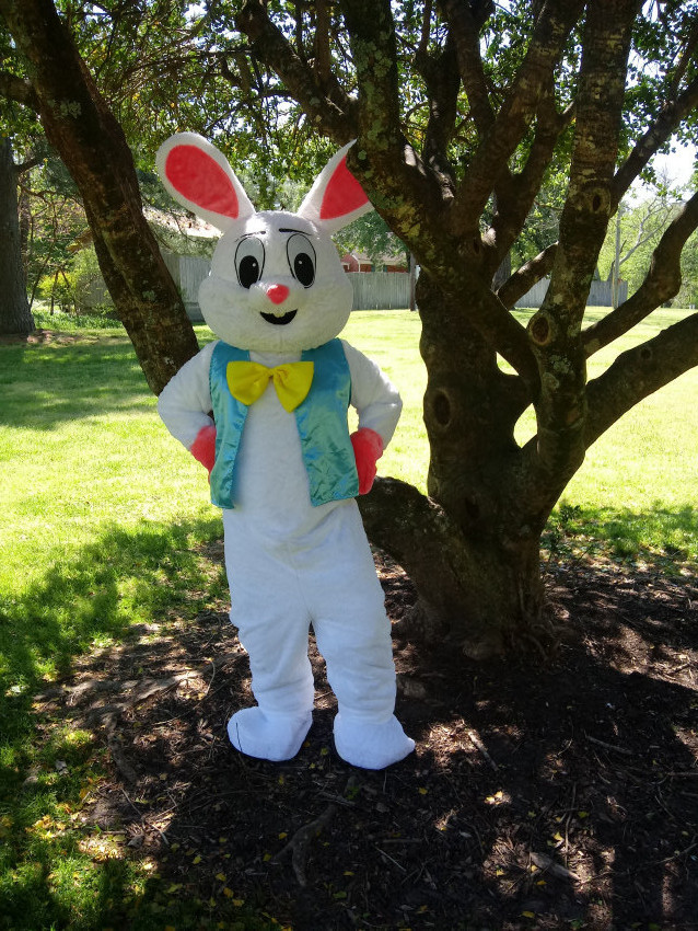 Hire Bunny Genius Inc. Easter Bunny in Greensboro, North Carolina
