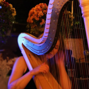 Caedda Enright Harpist/Vocalist - Harpist in Charlottetown, Prince Edward Island