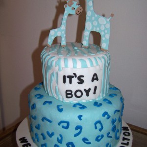 Cakes For Fun - Cake Decorator in New Port Richey, Florida