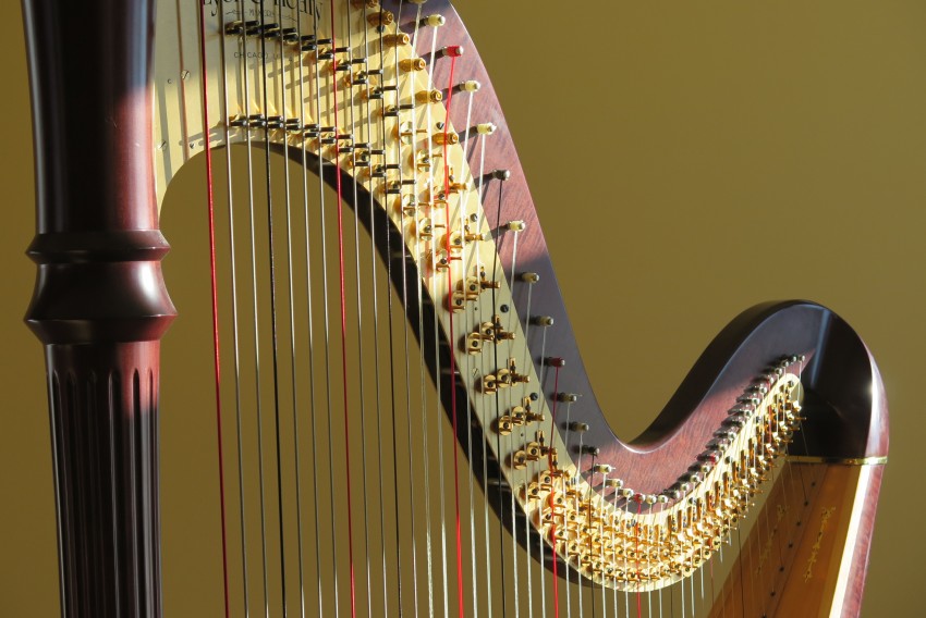 Gallery photo 1 of Calgary Harpist
