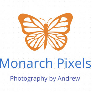 Monarch Pixels