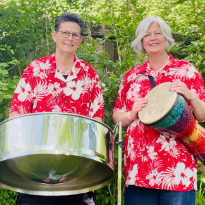 Calypso Bluz tropical steel drum island duo - Steel Drum Band in Kansas City, Missouri