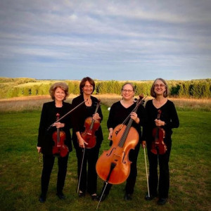 Camerata String Quartet - String Quartet / Wedding Musicians in Verona, Wisconsin