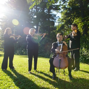 Profile thumbnail image for Campion String Quartet
