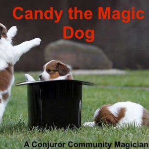 Candy The Magic Dog