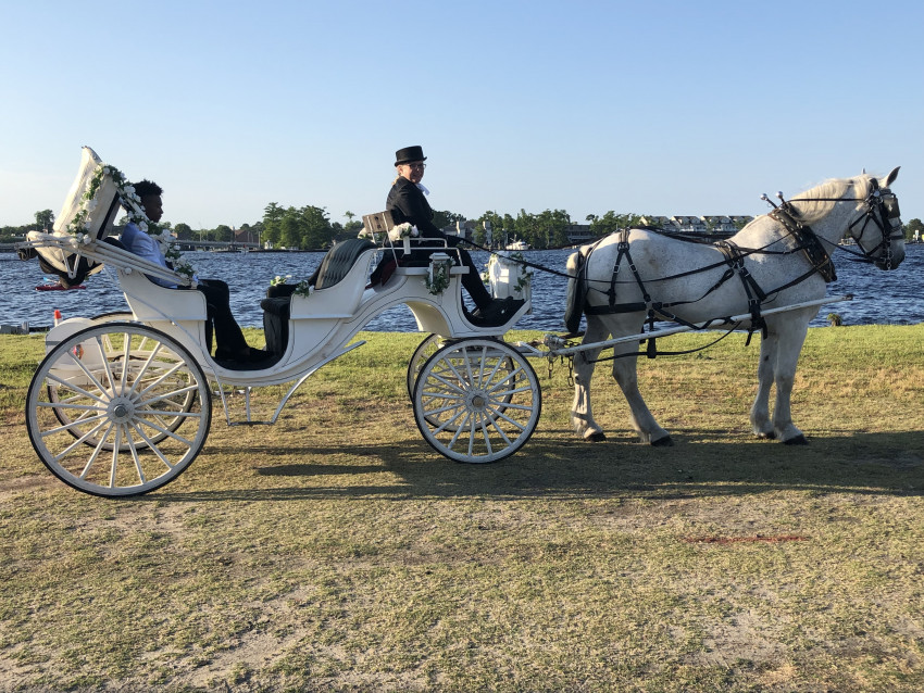 Hire Carolina Carriages Horse Drawn Carriage in Oxford, North Carolina