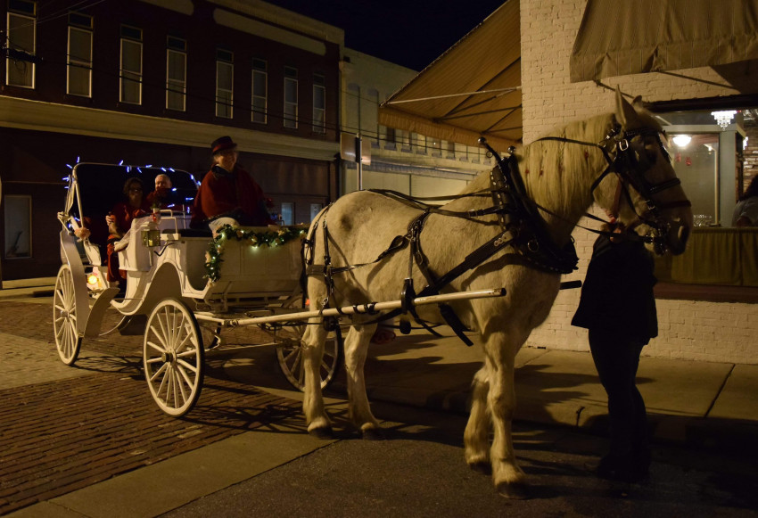 Hire Carolina Carriages - Horse Drawn Carriage In Oxford, North Carolina