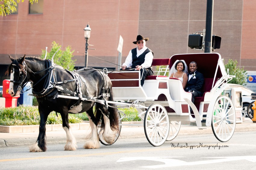 Gallery photo 1 of Carolina Weddings and Wagons