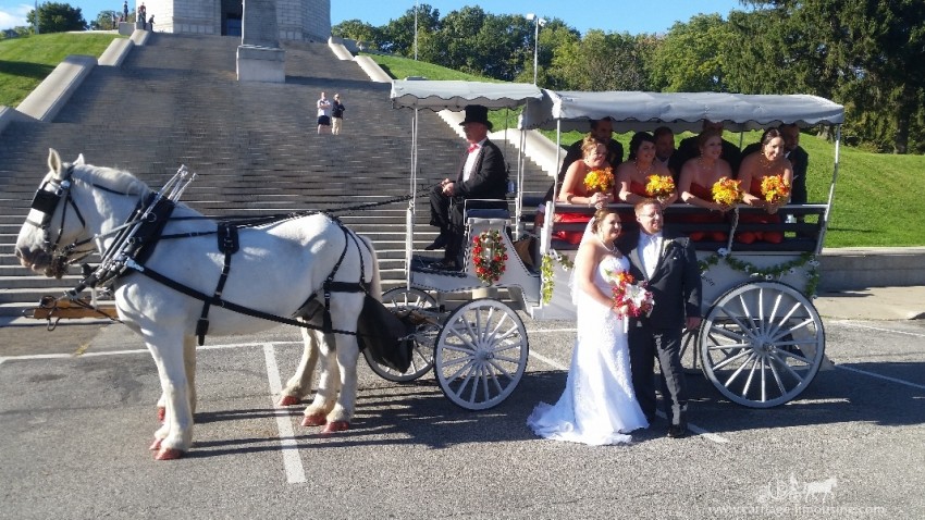 Hire Carriage Limousine Service - Horse Drawn Carriages - Horse Drawn ...