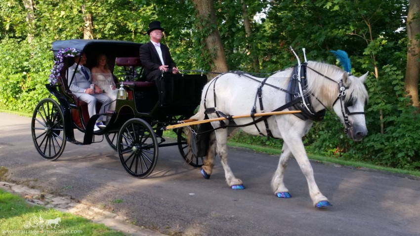 Hire Carriage Limousine Service - Horse Drawn Carriages - Horse Drawn ...