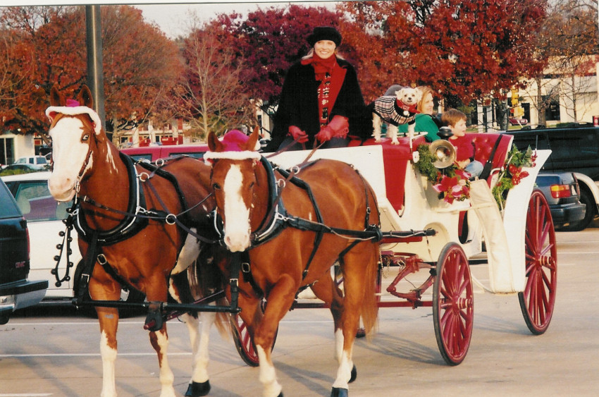 Hire Cartwright Ranch Horse Drawn Carriage in Fort Worth, Texas