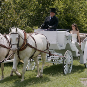 Cartwright Ranch - Horse Drawn Carriage in Fort Worth, Texas