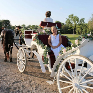 Cavalier Carriage - Horse Drawn Carriage / Holiday Party Entertainment in Ben Wheeler, Texas