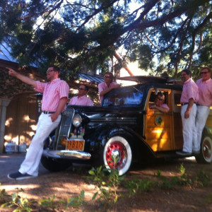 California Beach Boys - Beach Boys Tribute Band in San Jose, California