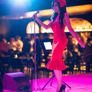 Cecy Santana - Singer/Songwriter / Latin Band in Chicago, Illinois