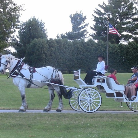 Hire Cedar Spur Carriage Service - Horse Drawn Carriage in Iowa City, Iowa