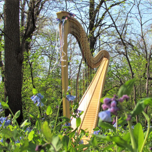 Cedar Valley Harpist - Harpist in Cedar Falls, Iowa