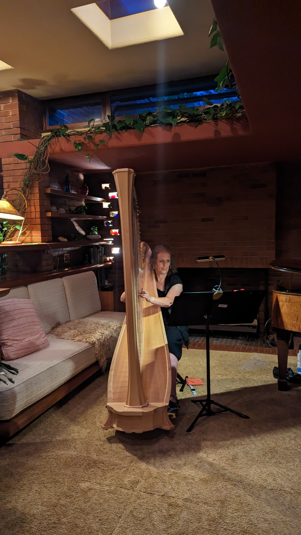 Gallery photo 1 of Cedar Valley Harpist