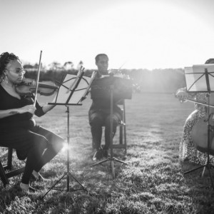 Firefly Strings - String Quartet in Attleboro, Massachusetts