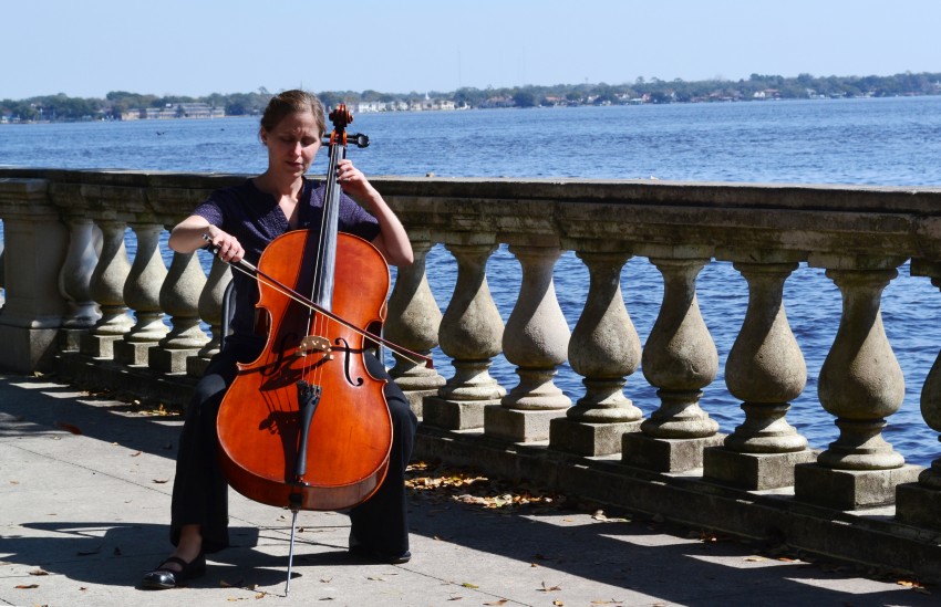 Gallery photo 1 of Cello Serenade