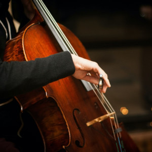 Cellus - String Trio in Denton, Texas